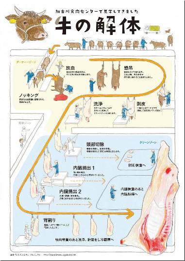 STRUCTURE 「加古川食肉センター」 | BEEF-LAB.com